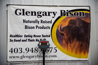2020-10 Glengary Bison (4 of 112)